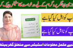 Apni Zameen Apna Ghar Program Application Status Check Method Online
