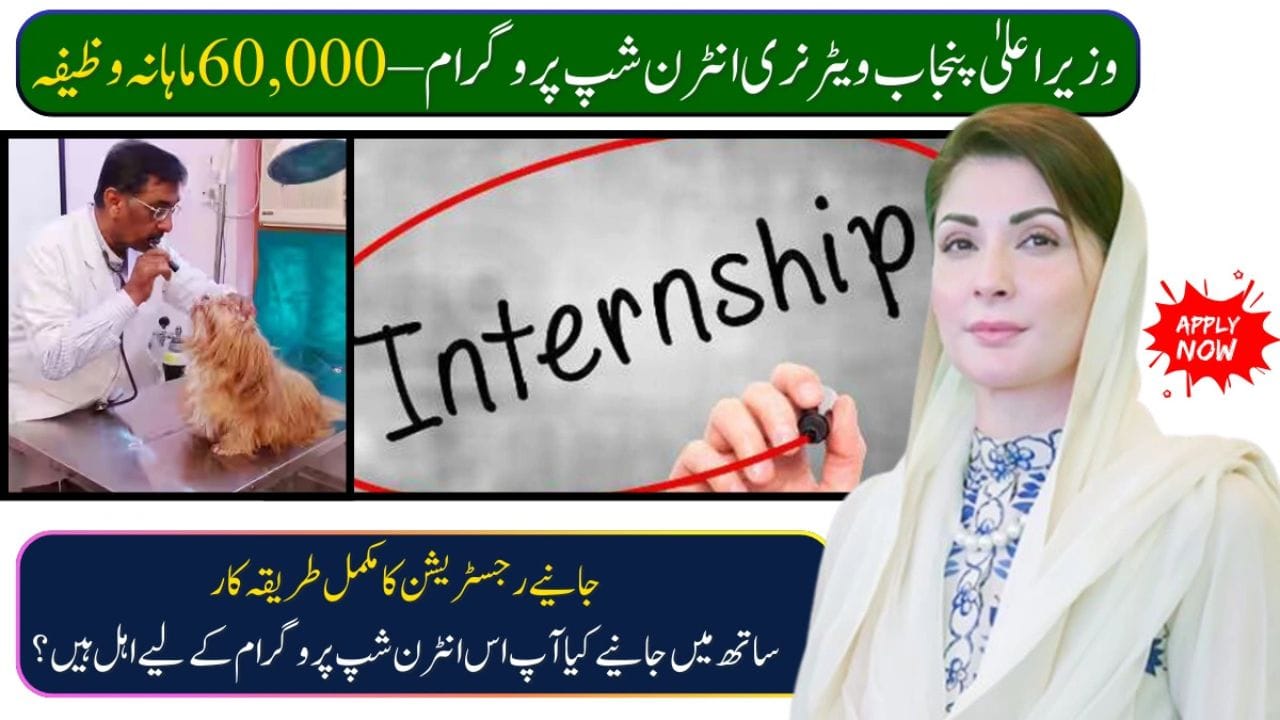 CM Punjab Announced Veterinary Internship Program 2025