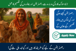 Livestock Distribution Program Punjab: Empowering Rural Women with Free Cows and Buffaloes in 12 Districts