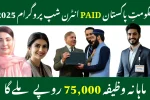 Government Paid Internship