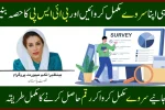 BISP NSER Survey 2025