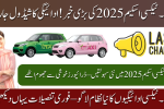 E-Taxi Scheme 2025 Repayment Schedule: Apply Online & Start Your Electric Taxi Business