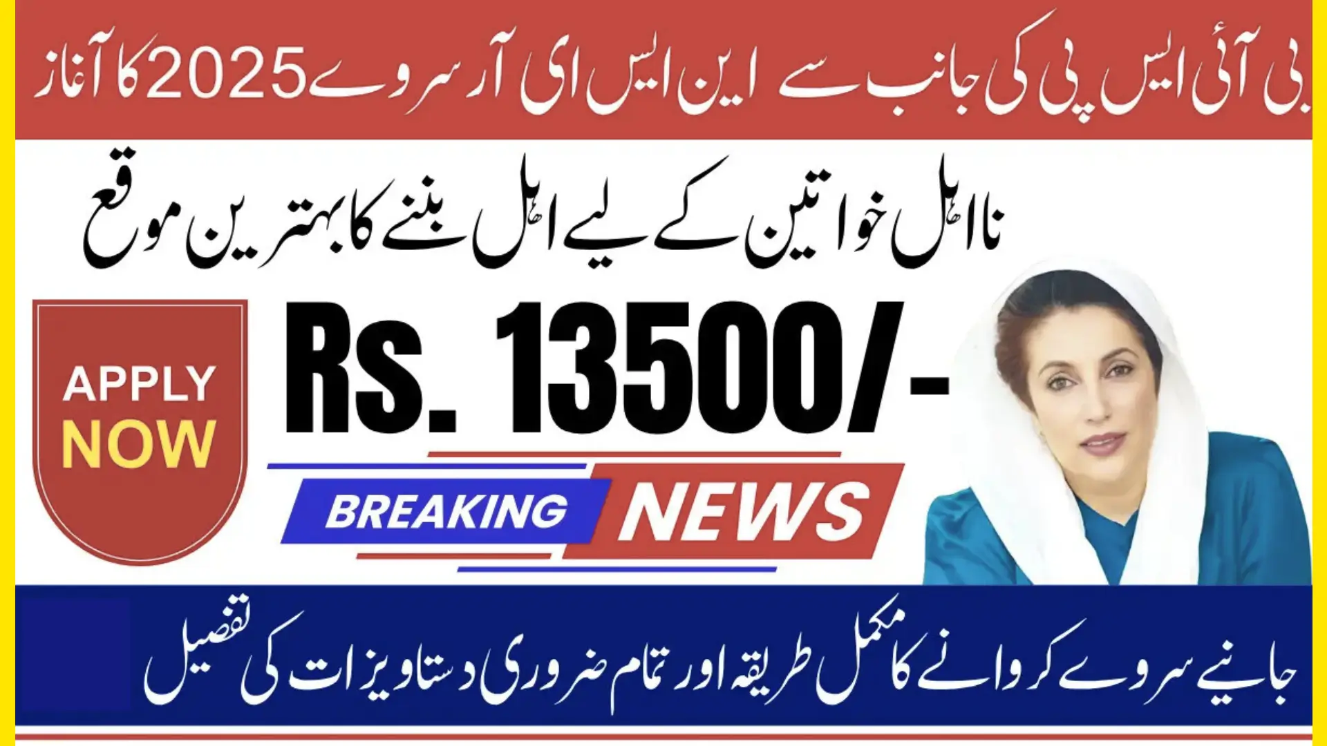 BISP NSER Survey 2025 Complete Registration