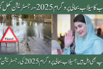 Wazir-e-Aala Punjab Sailab Bahali Program 2025 Registration – Full Guide