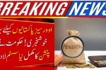 Pension Reforms for Overseas Pakistanis: Government’s Complete Fix