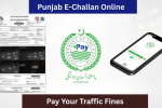 Punjab E-Challan Online: Step-by-Step Guide to Pay Your Traffic Fines