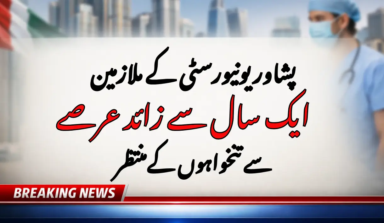 Peshawar University Staff Await Salaries for Over a Year